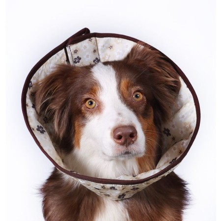Veterinary Elizabethan collar OSSO, XS (neck rings 26-32 cm), mix
