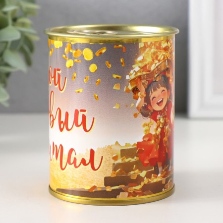 Pigger Bank Metal "My First Capital"-2