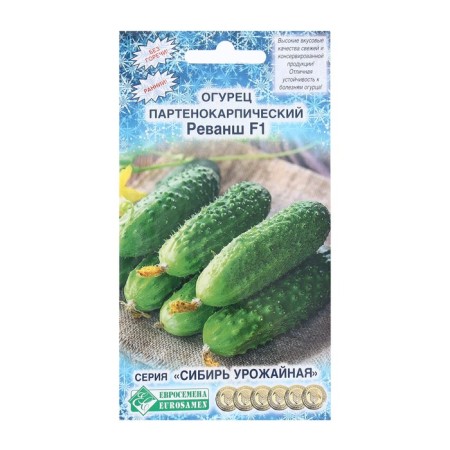 Seeds Cucumber Parthenocarpic Revenge F1, 5 pcs