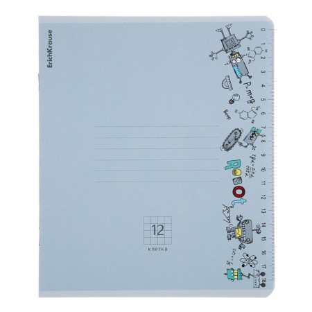 Notebook of 12 sheets in the Erichkrause "Ruler Hobby", the cover coated cardboard, an offset block 100%, mix-10