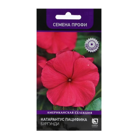 Flowers Catarantus Pacific "Burgundy" 10 pcs