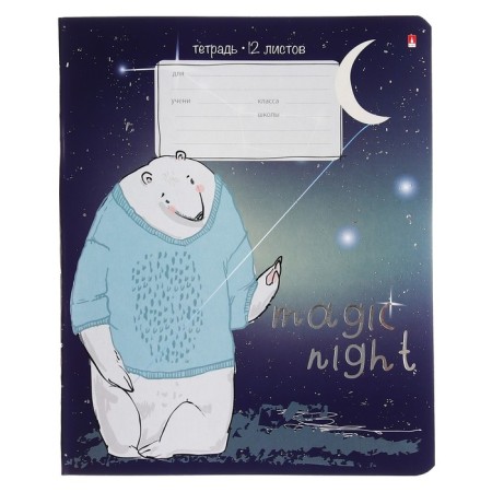 Notebook 12 sheets in the Magic Night line, covered cardboard, foil, mix-6
