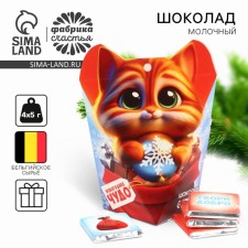 New Year! Milk chocolate in the package 