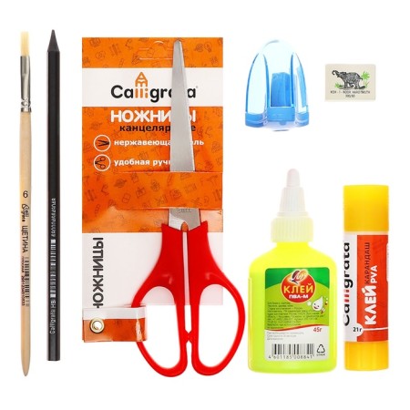 A4 labor folder, plastic, lightning around, folding bar, with a filling of 10 items, calligrata, PTR-1, "Anime Sakura"-10