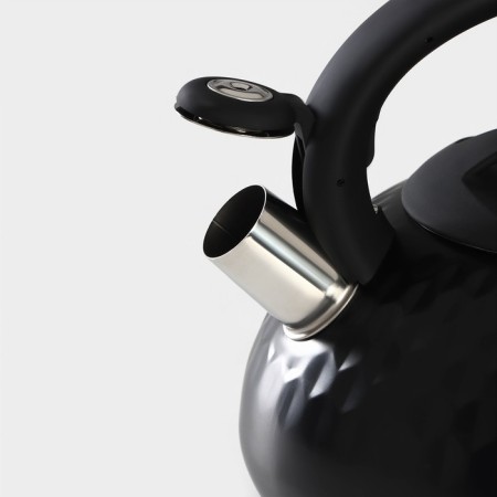 A kettle with a stainless steel whistle Magistro Glow, 3 L, Induction, Soft-Touch handle, Black color-3