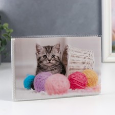 Photo album in 36 photos, 18 sheets 