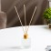 Diffusor aromatic "Solo" 50 ml juicy melon