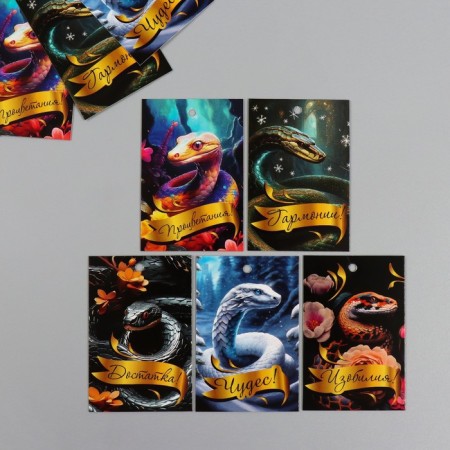 Cardboard "Fairytale snakes" set of 10 pcs (5 types) 4x6 cm