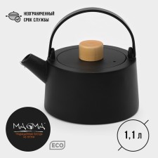 Cast iron kettle with enameled coating inside Magma 