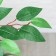 Artificial tree "Ficus with roots" trunk 148 cm, mix