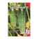 Seeds of cucumber "salting", 0.5 g