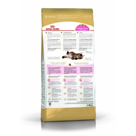 Dry food RC Kitten Main Coon for kittens of large rocks, 2 kg-1