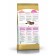 Dry food RC Kitten Main Coon for kittens of large rocks, 2 kg