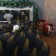 Ethel Bedding Ethel Golden Christmas 200x217 cm, 220x240 cm, 70x70 cm - 2 pcs, calico