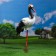 Garden figure "Crane" 16x40x25cm
