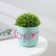 Kashpo for flowers with an insert “Marie”, 650 ml, D = 11.5 cm, h = 10.5 cm, pistachio color