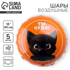 Воздушный шар фольгированный 18" "Котик. Ты чудо", круг, набор 5 шт.