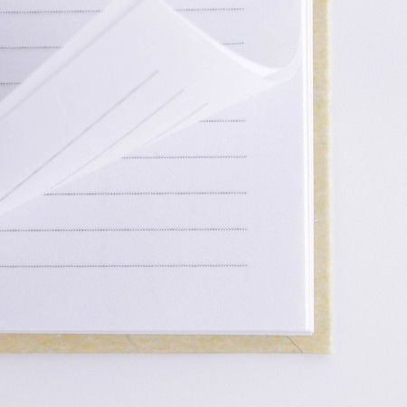 Diary in a gift box "Golden Teacher", A5 format, 80 sheets, solid cover-9