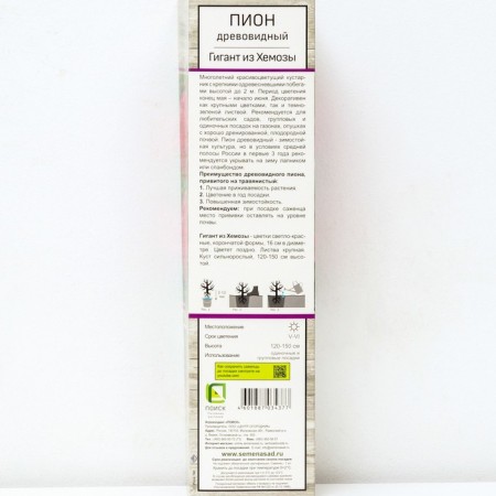 PION of tree -like (vaccinated on grassy) "giant from chemose" 1 pc, tube, spring 2025-1