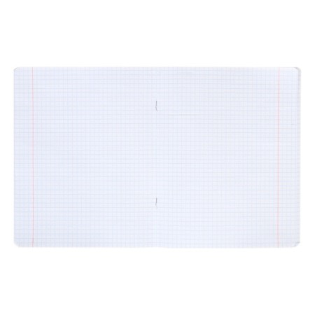 Notebook of 48 sheets in the Fluffy cage, cover coated cardboard, matte lamination, offset block, mix-1