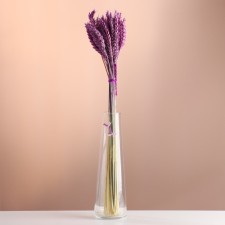 A set of dried flowers 