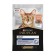 Wet feed Pro Plan for home cats, salmon in sauce, spider, 85 g