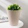 Kashpo for flowers with an insert "Valencia", 5.2 l, pearl color