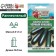 Zucchini zucchini "Black handsome", 2 g