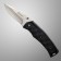 Folding knife "Firebird by Ganzo" with a clip and a loop for a belt, steel - 440C, blade 8 cm