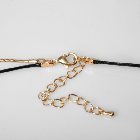 Pendant "chain" totem, a ring with a needle, the color is black in gold, 70cm-1