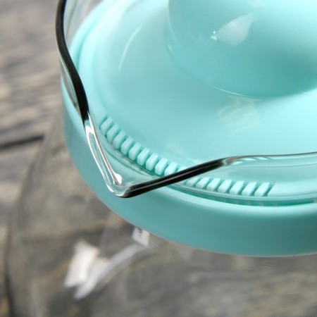 Glass teapot "Ricky", 800 ml, color mix-1