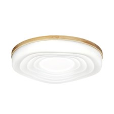 Светильник FASS WOOD LED 70Вт 3000-6000К D470 IP43, с ПДУ