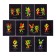 Complet object tetra 48l 10 subject neon animals Calligrata Top, Help Mate, Chalk, Neon, Offset