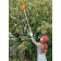 Fruit collector, D = 11 cm, metal stalk 120 cm, mix, Greengo