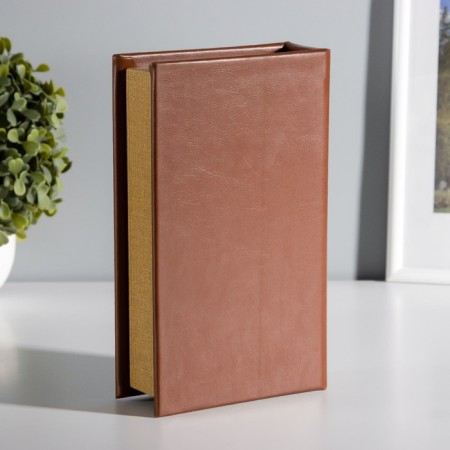 Safe-book wood leather golden eyelid 21x13x5 cm-4