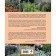 Flower sides: 85 best compositions (completed and processed publication). Korpach A.A.