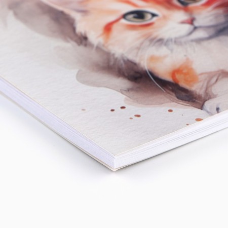 Album for drawing 40 sheets on the A4 spring "September 1: three cats"-1