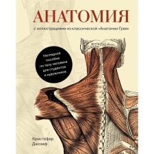 Анатомия. С иллюстрациями из классической «Анатомии Грея». Джозеф К.