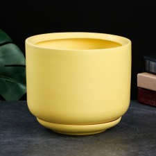 Flower pot 