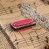 Music Life 4 Harly Harly, 8 tones, 3.5x1.5x1cm, chain 28cm, pink