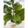 Decorative plant in the cement pot "Ficus", 14 × 14 × 96 cm