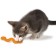 Petstage toy "Opka Worm" for cats
