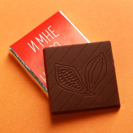Milk chocolate "You are a fool", postcard, 5 g.-2
