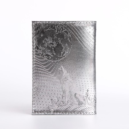 Cover for passport, silver color-2
