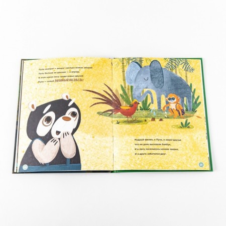 Plan a panda pool. History about the bamboo forest. Lokhart D.-5