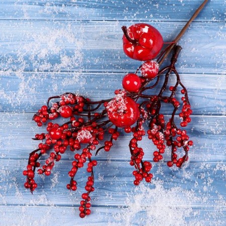 Decor "Winter Charm" a twig with apples, 23 cm