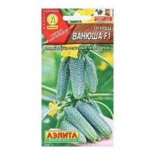 Cucumber seeds 