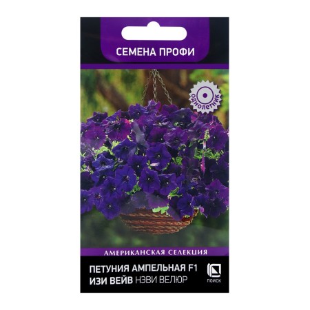 Flowers of Petunia Ampel F1 Iza Weive Navy Velur, 5pcs