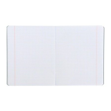 Subject notebook Monocolor.element, 48 sheets in the cage "Informatics", covered cardboard, lamination of software vag, selective varnish, offset block 70 g/m2-3