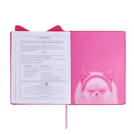 School diary for grades 1-11, boss spitz, firm covered with foam, artificial leather, curly cutting, liesse, universal cheat sheet, 48 sheets, block 80g/m2-11